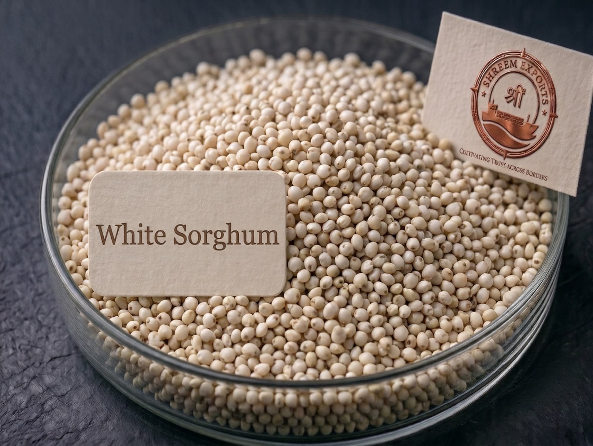 Cream/White Sorghum (Jowar)